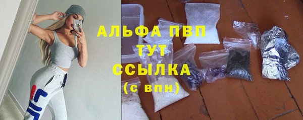 спайс Михайлов