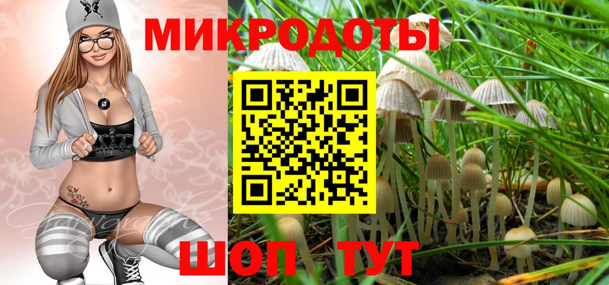 Псилоцибиновые грибы Magic Shrooms  наркошоп  Галлюциногенные грибы Magic Shrooms  Шахты  Вход с VPN 